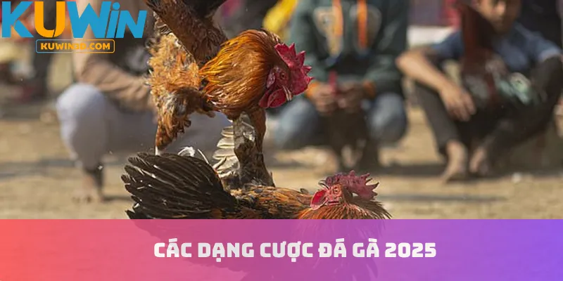 Các dạng cược đá gà 2025