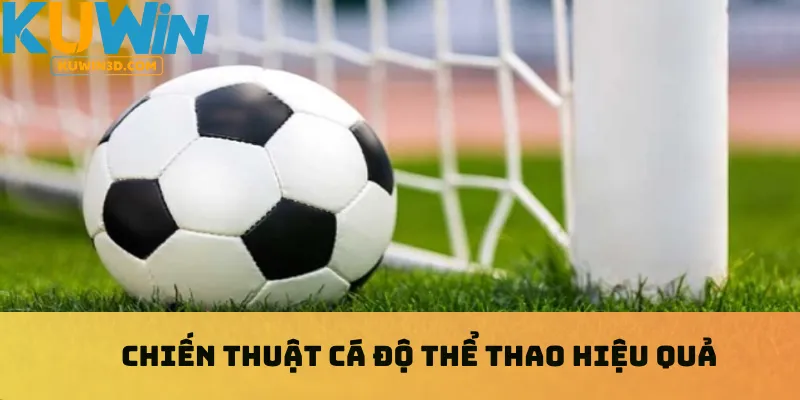 Chiến thuật cá độ thể thao hiệu quả