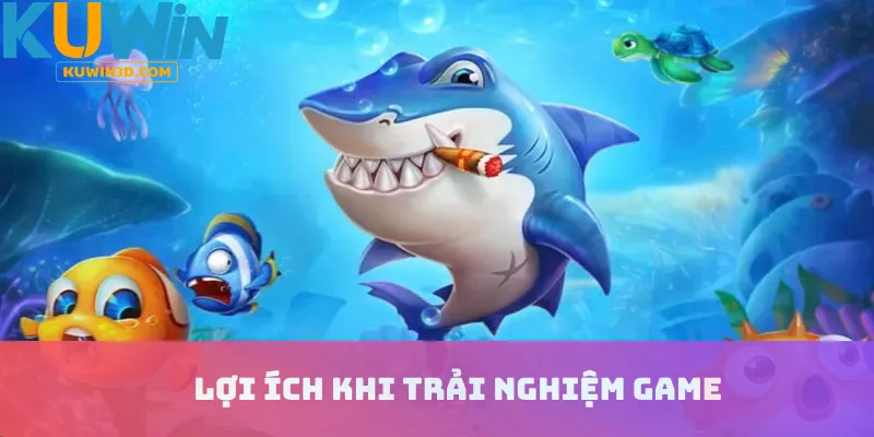 Cách đánh bắt cá vàng hiệu quả